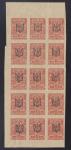 Ukraine 1918 - 1919